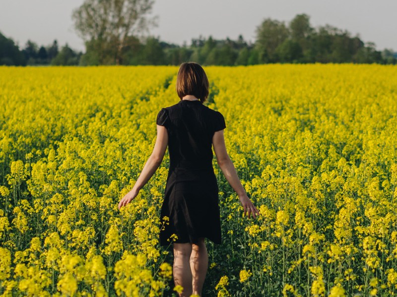 Introduce Yourself (Example&nbsp;Post)