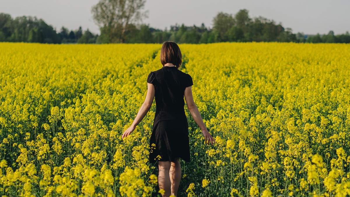 Introduce Yourself (Example&nbsp;Post)