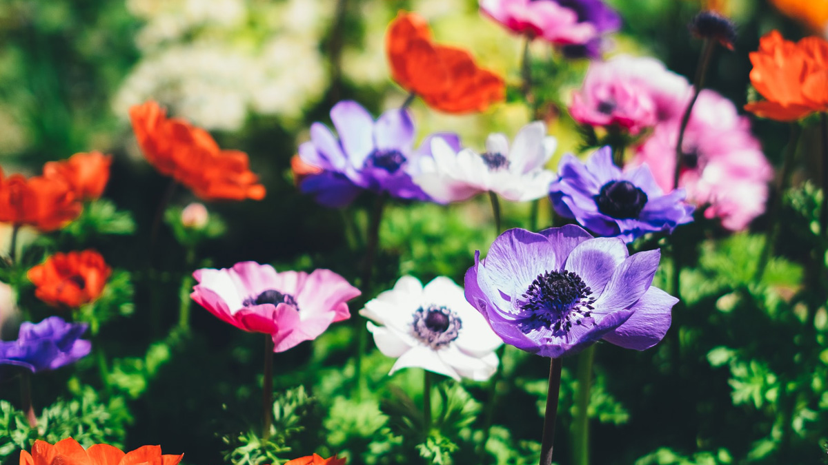 Introduce Yourself (Example&nbsp;Post)